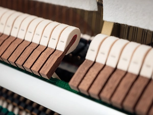 Kawai Klavier-Spielgefühl das begeistert. Schwarz matt. 5 Jahre Garantie. Kostenlose Lieferung (*) Bild 8