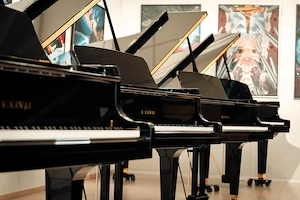 Kawai Klavier-Spielgefühl das begeistert. Schwarz matt. 5 Jahre Garantie. Kostenlose Lieferung (*) Bild 19