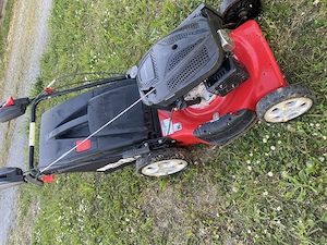 Rasenmäher Benzin mit Antrieb Bild 3