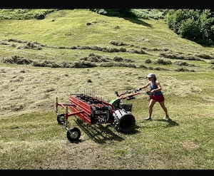 Molon Major 180-3D Bandrechen zu Rapid Motormäher Bild 6