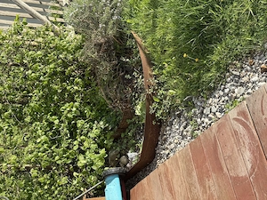 Gartenbereiche anlegen und altes entfernen Bild 3