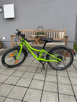 Naloo Chameleon 20 Zoll