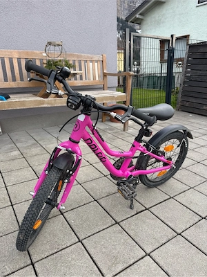 Naloo Chameleon 16 Zoll Bild 3