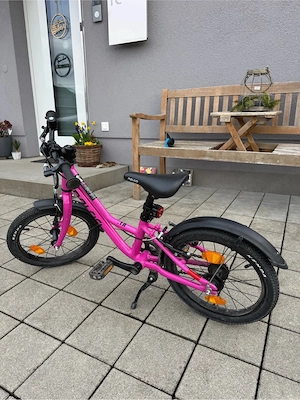 Naloo Chameleon 16 Zoll Bild 2