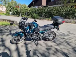 Triumph Tiger 955i British Racing green Bild 6