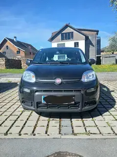Fiat Panda Bild 5