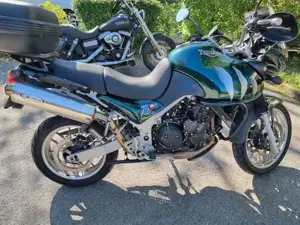 Triumph Tiger 955i British Racing green Bild 5