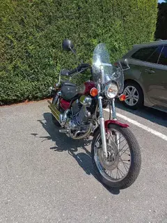 Virago XV 535 Bild 2