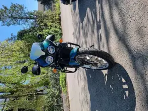 Triumph Tiger 955i British Racing green Bild 8