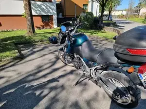 Triumph Tiger 955i British Racing green Bild 4
