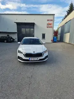 Skoda Octavia Bild 4