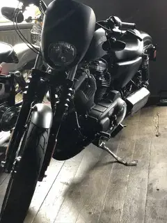 !! HD Sportster IRON  CustomUmbau 1200ccm EVOLUTION  Bild 5