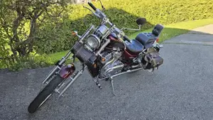 Suzuki Intruder VS 800 GL Chopper   Cruiser Bild 9