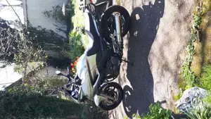 Verkaufe Yamaha TDM900 ABS Bild 5