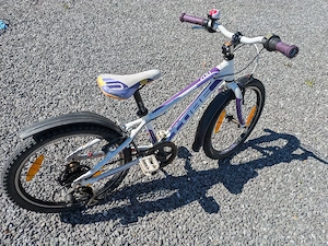 Kinderfahrrad 20 Zoll Bild 2