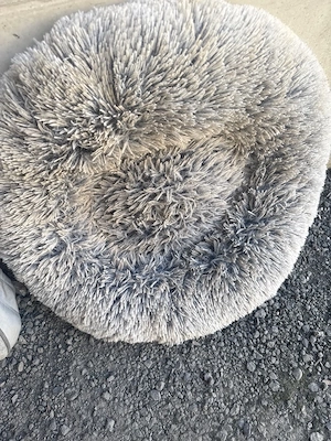 Hundebettchen Bild 2