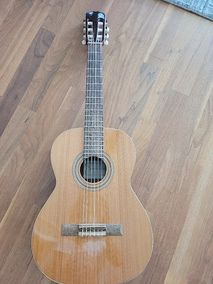 Kinder Gitarre Bild 4