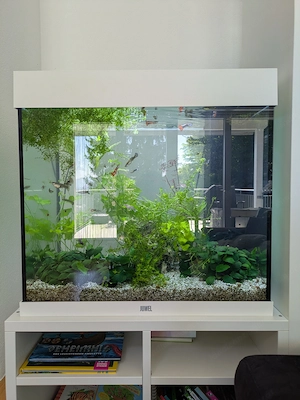 120l Juwel Aquarium mit Tischler-Unterschrank, Reinigungssystem und zahlreichem Zubehör Bild 4