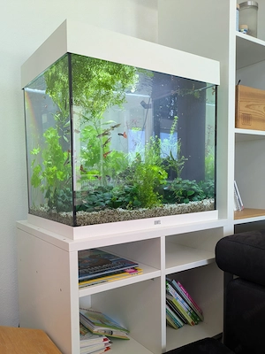 120l Juwel Aquarium mit Tischler-Unterschrank, Reinigungssystem und zahlreichem Zubehör Bild 2