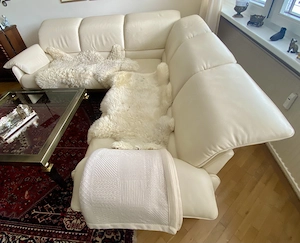 Elegantes ZÜCO Leder Sofa, cremefarben - sehr guter Zustand Bild 3