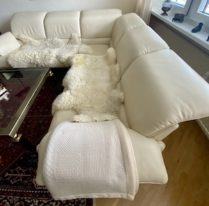 Elegantes ZÜCO Leder Sofa, cremefarben - sehr guter Zustand Bild 2