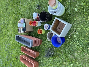 Blumenkästen und Pflanzgefäße Bild 2