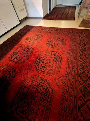 Orientteppich Schurwolle 294 x 199 cm