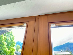 Fixglas mit Tür (Balkon Terrasse) Fenster Bild 2