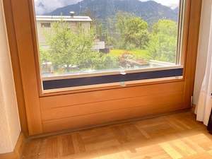 Fixglas mit Tür (Balkon Terrasse) Fenster Bild 3