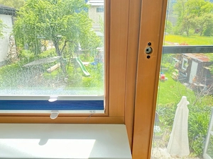 Fixglas mit Tür (Balkon Terrasse) Fenster Bild 5