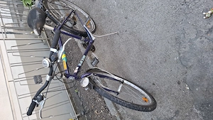 Herren Fahrrad  Bild 2