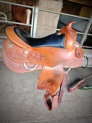 Verkaufe Westernsattel Reining Authority Bild 2