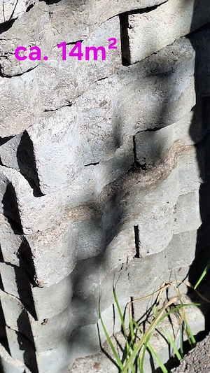 Pflastersteine Beton geschwungen Bild 2