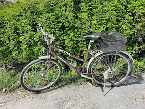 Damen Fahrrad lila 