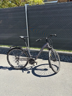 Damen Fahrrad
