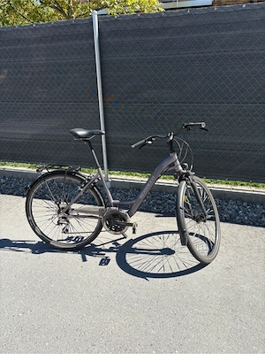 Damen Fahrrad Bild 2