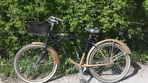 Fahrrad Gold schwarz