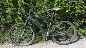 Mountainbike Herren