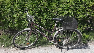 Damen Fahrrad lila  Bild 2