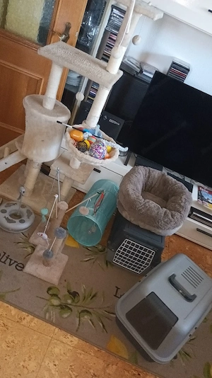 katzenzubehör zu verschenken 