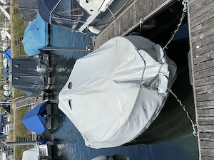 Boot Bayliner 1952 Classic Bild 5