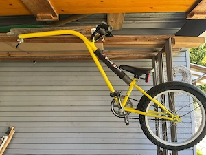 Nachläufer Fahrrad Lonny Bild 2