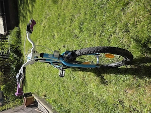 Kinderfahrrad CTM Maggie 2.0 20 Zoll Bild 2
