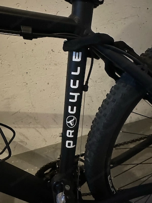 Mountainbike von Procycle Bild 3