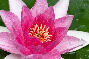 Tantra Massage