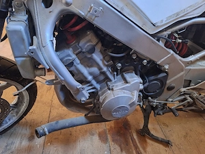 Honda CBR 600 Abbruch Bild 2