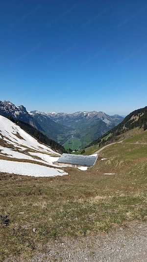 Ich möchte mich wieder verlieben, vielleicht in Dich ? Bild 2