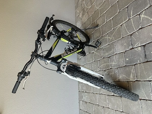 Mountainbike Bulls Bild 2