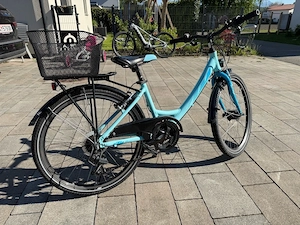 KTM Wildcat 24 Bild 2