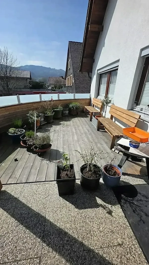 Maler, Lackierer und Verputz Arbeiten Bild 4